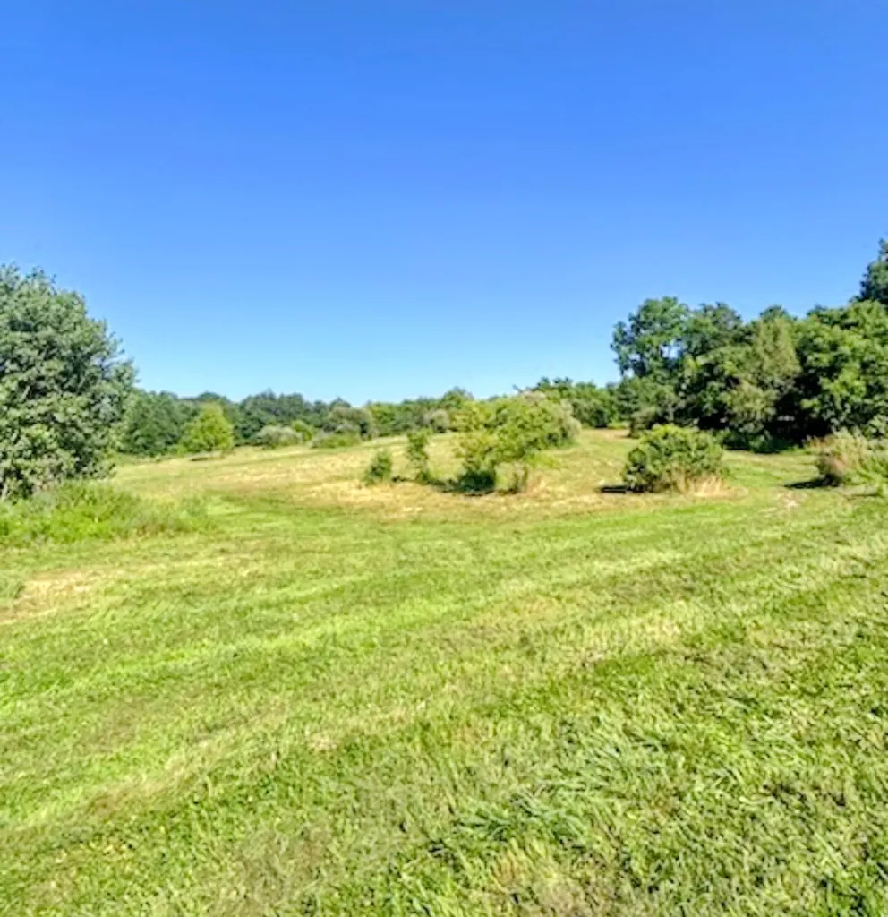 2311 E Glendora Road Buchanan Township MI 49107