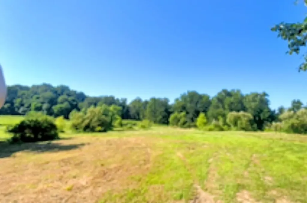 2311 E Glendora Road Buchanan Township MI 49107