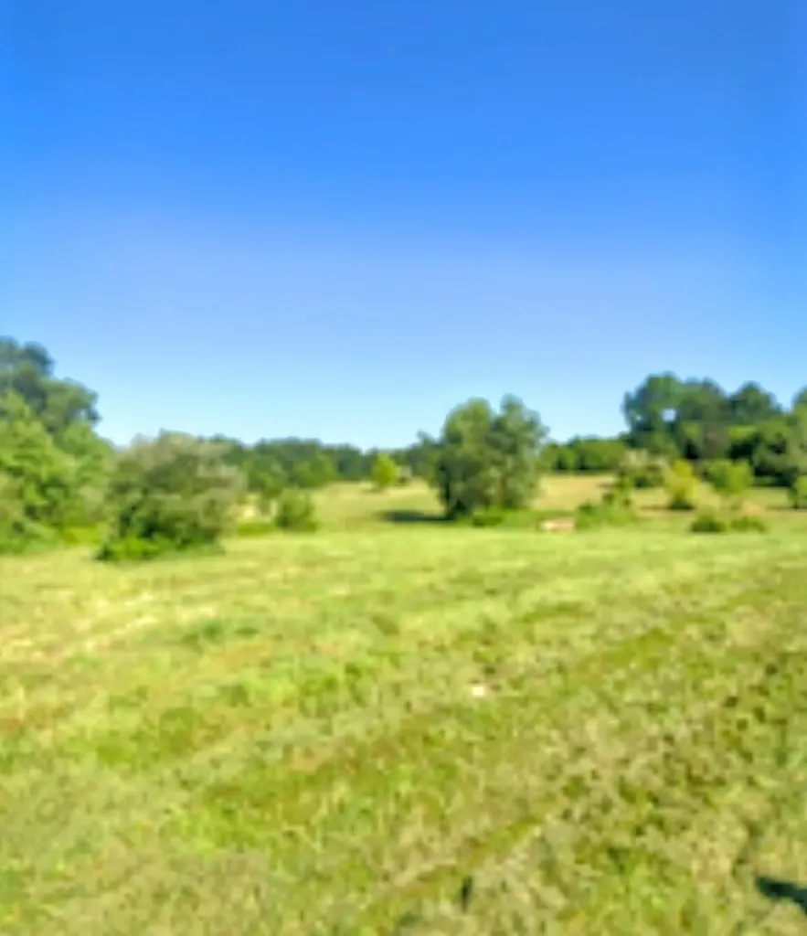 2311 E Glendora Road Buchanan Township MI 49107