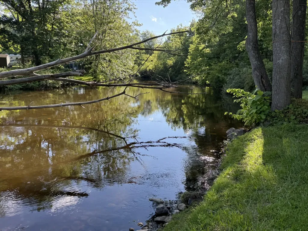 9016 E M 20 Newfield Township MI 49421