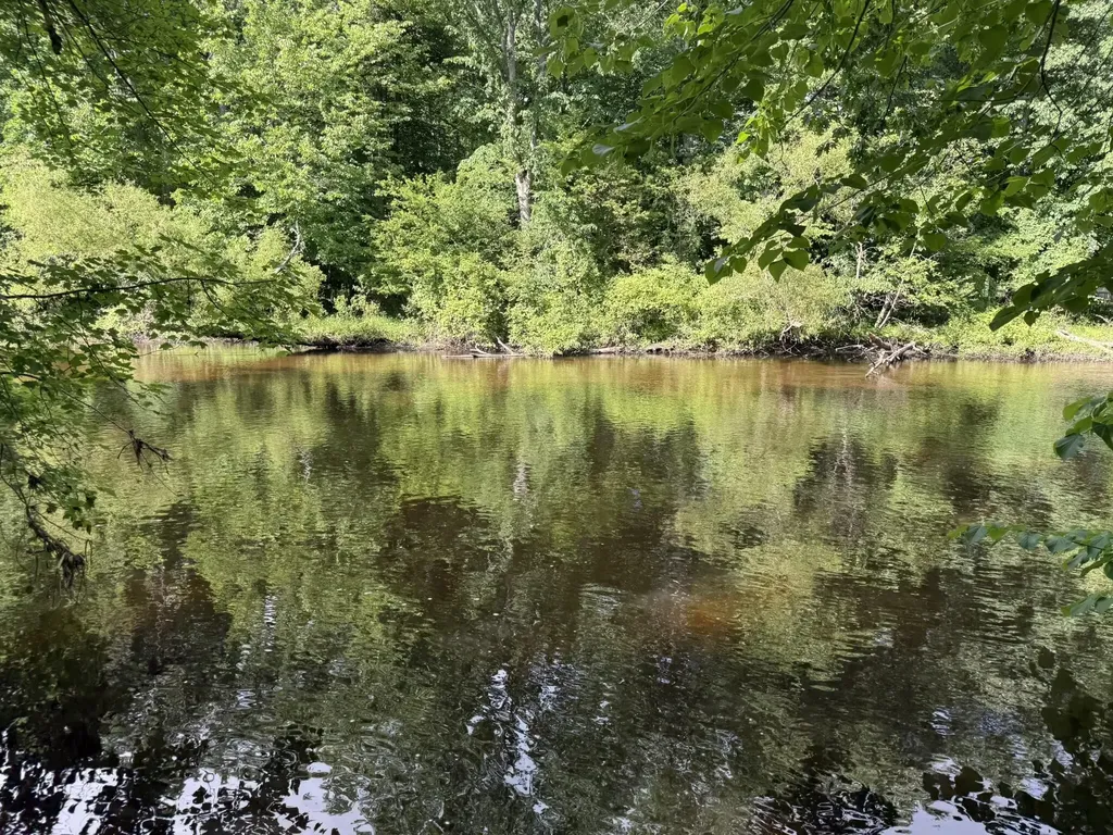 9034 E M 20 Newfield Township MI 49421