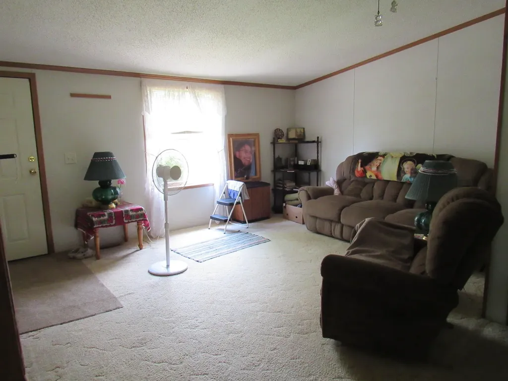 710 N 204th Avenue Leavitt Township MI 49421