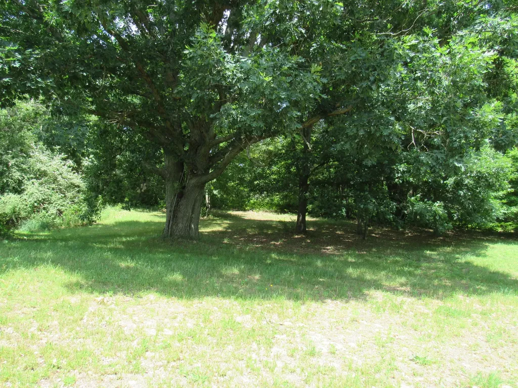 710 N 204th Avenue Leavitt Township MI 49421