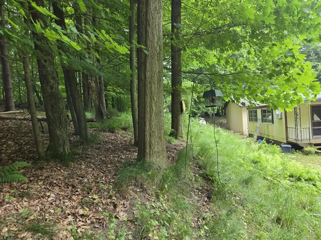 5959 Barnhart Road Hamlin Township MI 49431