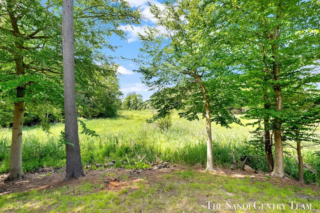 931 Bluff Creek Drive Grand Haven City MI 49417