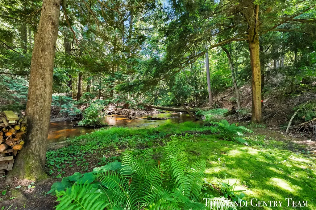 1360 E Bigelow Creek Trail Brooks Township MI 49337