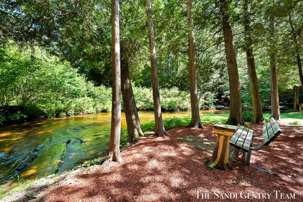 1360 E Bigelow Creek Trail Brooks Township MI 49337