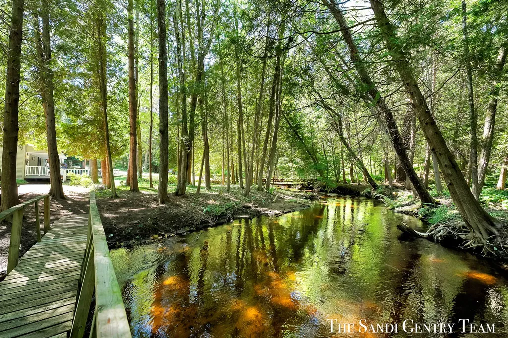 1360 E Bigelow Creek Trail Brooks Township MI 49337