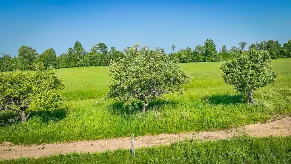 11371 E 40th Street Pinora Township MI 49677
