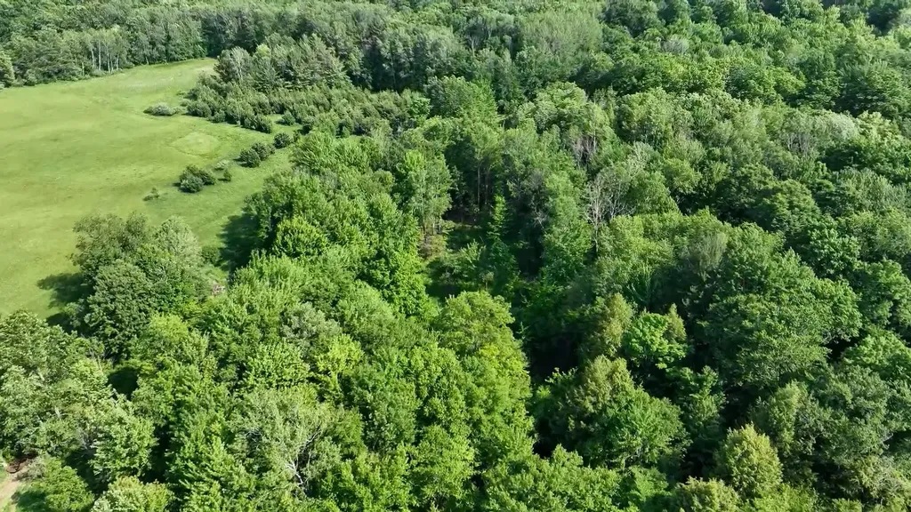 11371 E 40th Street Pinora Township MI 49677