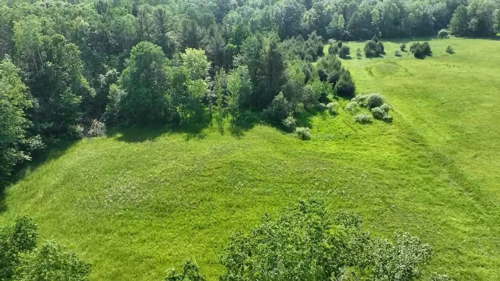 11371 E 40th Street Pinora Township MI 49677