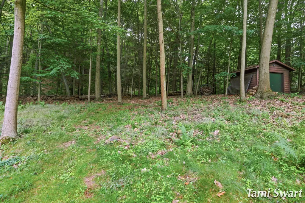 17484 Beech Hill Drive Grand Haven Charter Township MI 49417