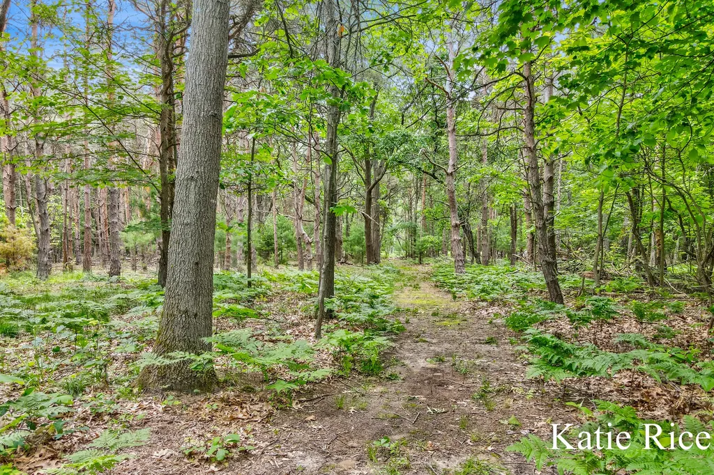 9210 Lamos Road Montague Township MI 49437