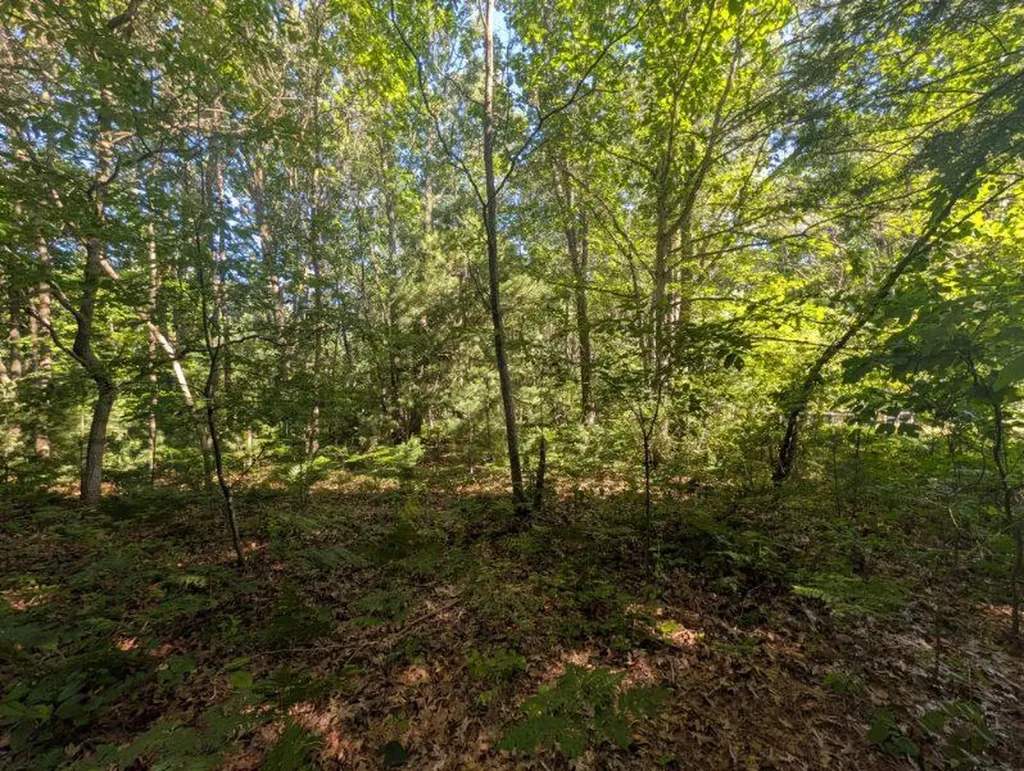 2325 Judson Road Fruitland Township MI 49456