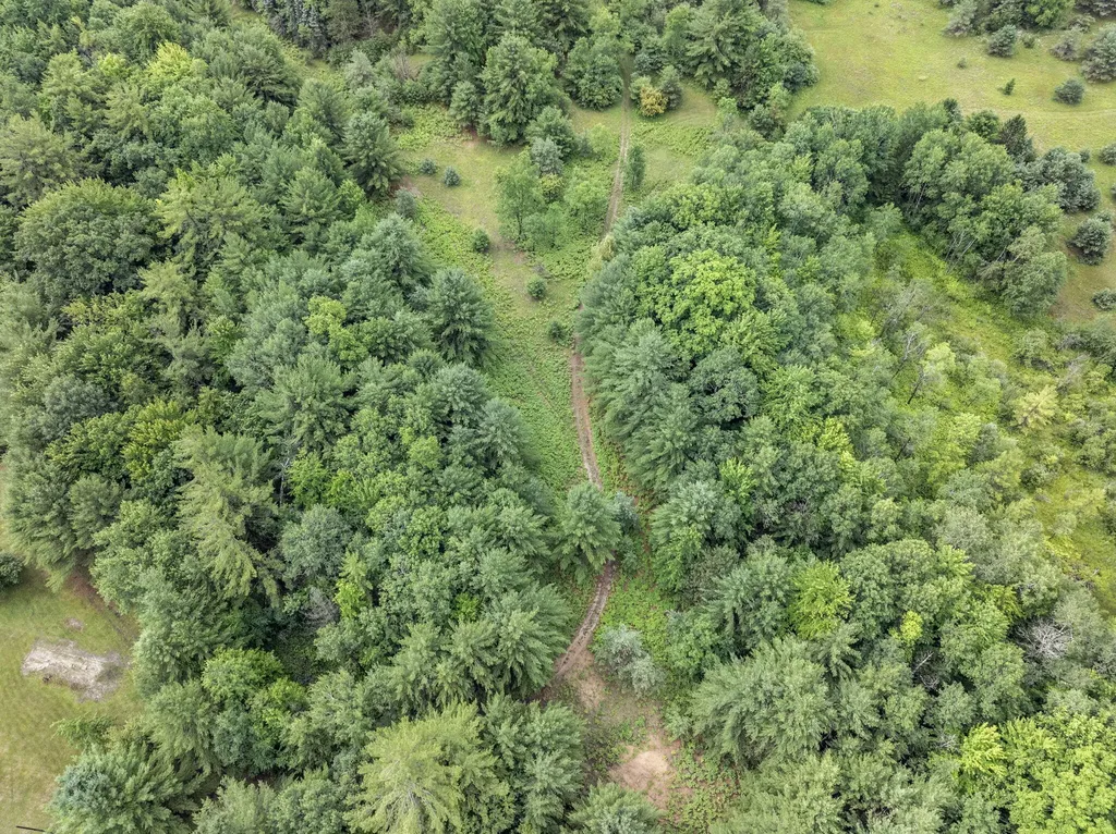 9191 W 34 Road Slagle Township MI 49638