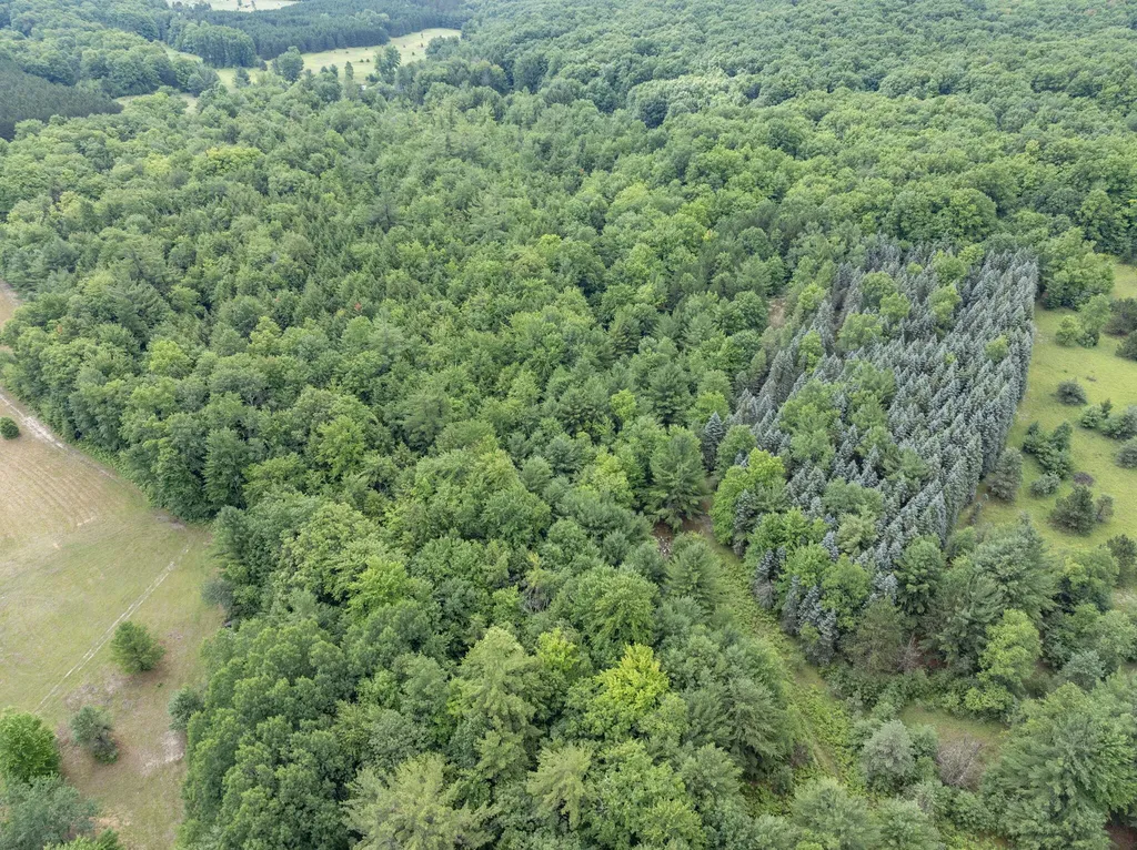 9191 W 34 Road Slagle Township MI 49638