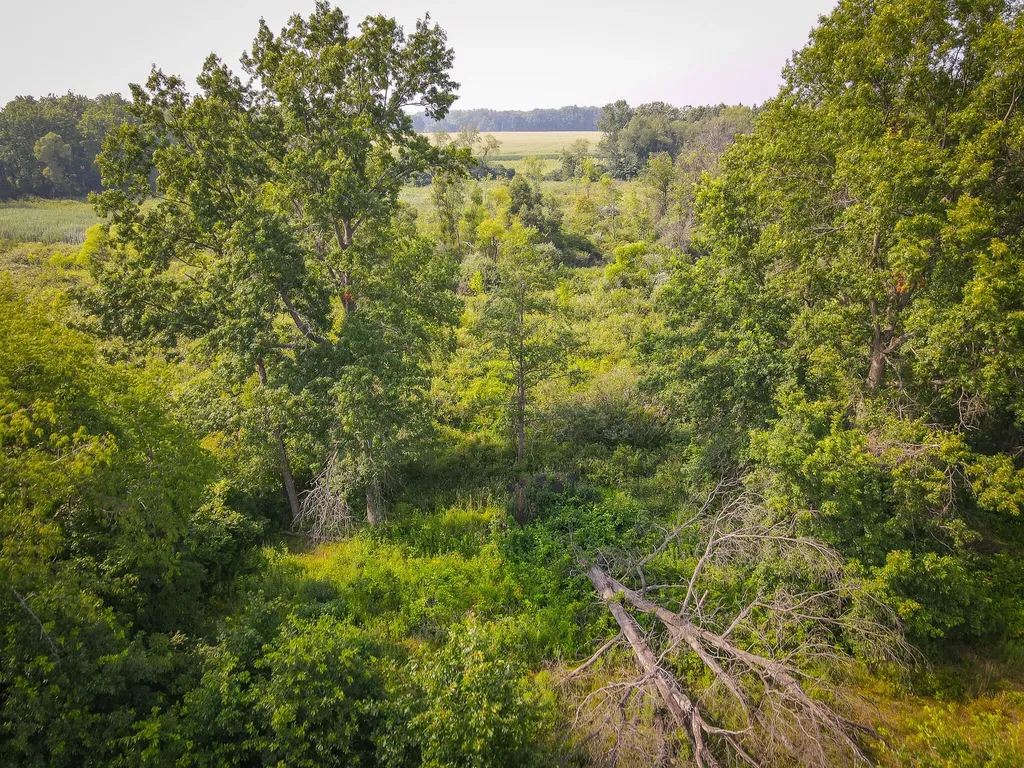 50002 M 51 N Silver Creek Township MI 49047