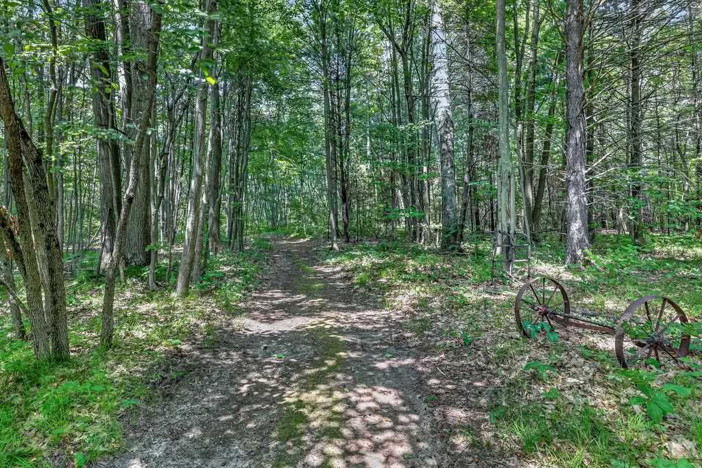 3030 W Webster Road Grant Township MI 49437