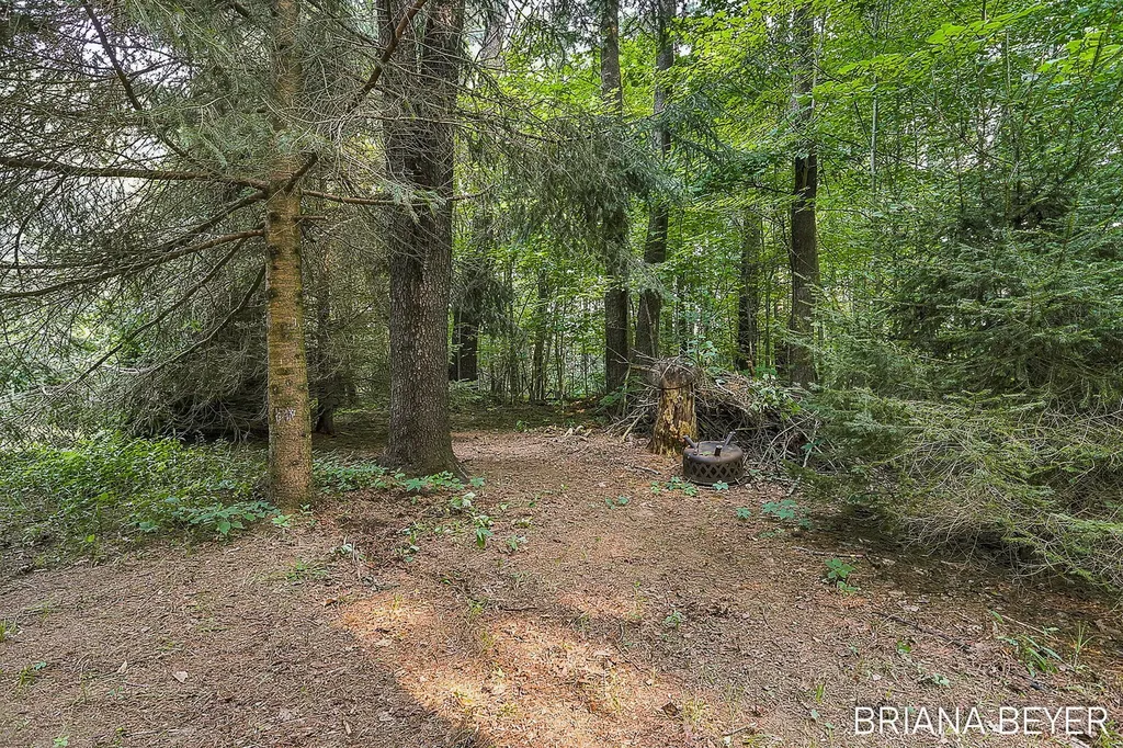70354 16th Avenue South Haven Charter Township MI 49090