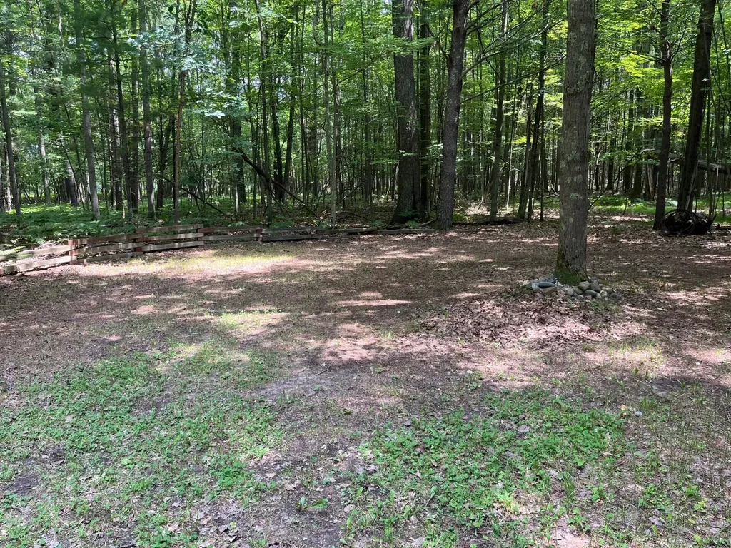 2355 Orchard Landing Road Brown Township MI 49619