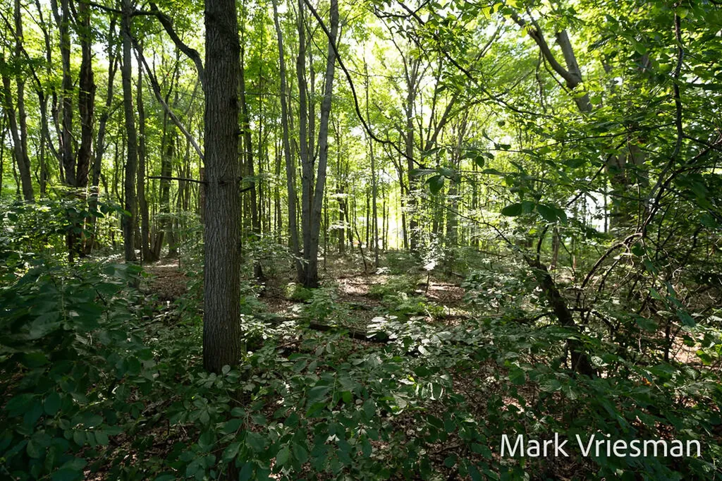 17011 Pickett Lane Crockery Township MI 49448
