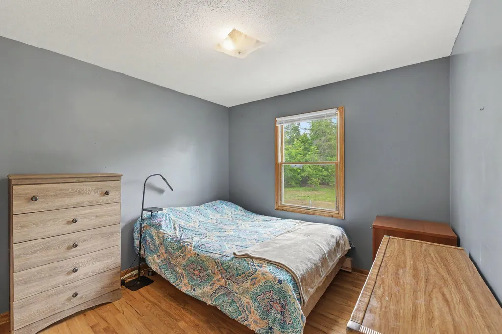 253 S Pine Tree Lane Homestead Township MI 49617