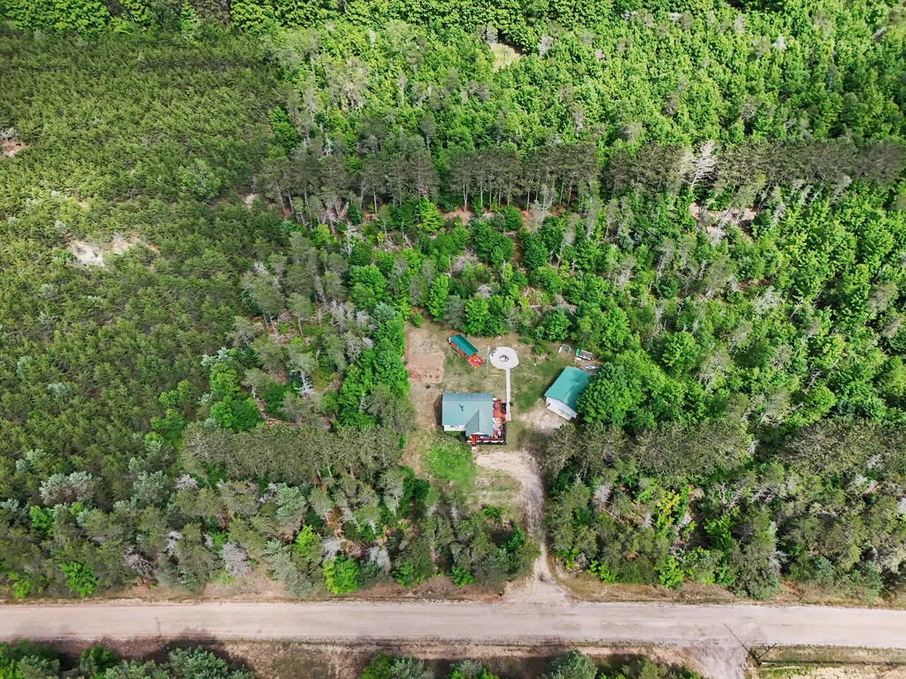 253 S Pine Tree Lane Homestead Township MI 49617