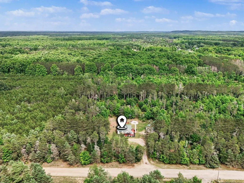 253 S Pine Tree Lane Homestead Township MI 49617