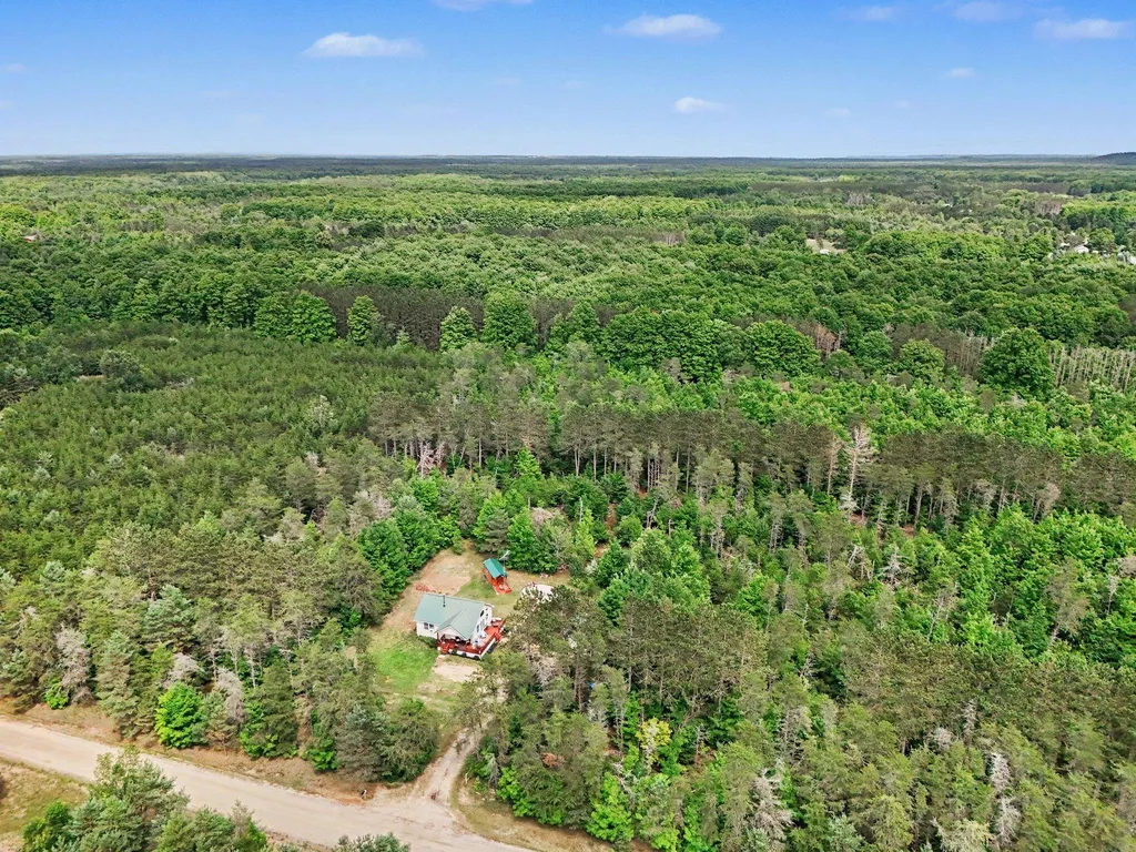 253 S Pine Tree Lane Homestead Township MI 49617