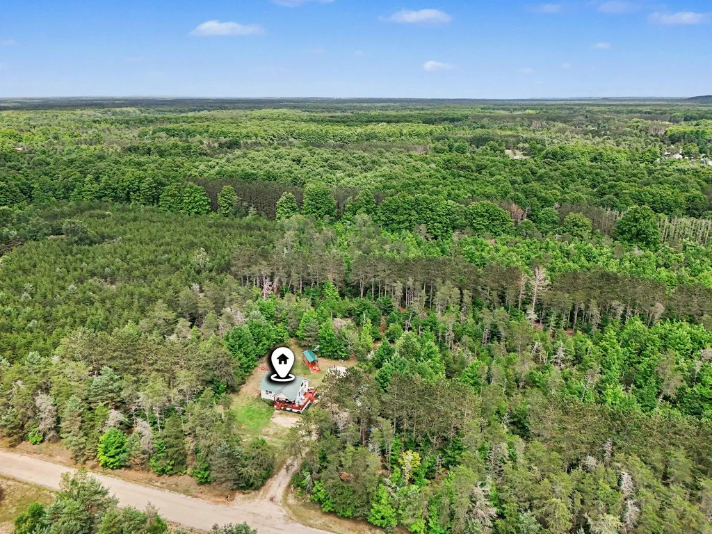 253 S Pine Tree Lane Homestead Township MI 49617