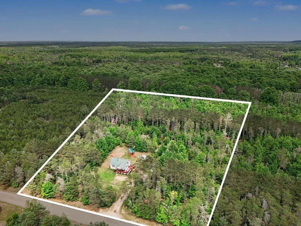 253 S Pine Tree Lane Homestead Township MI 49617