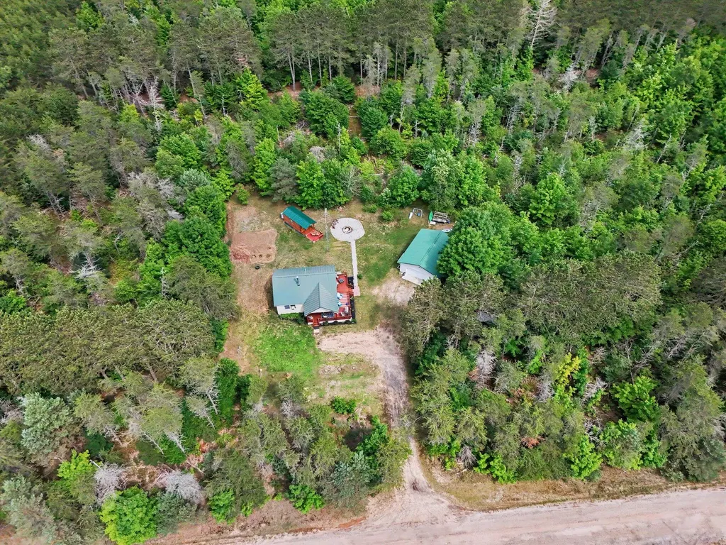 253 S Pine Tree Lane Homestead Township MI 49617