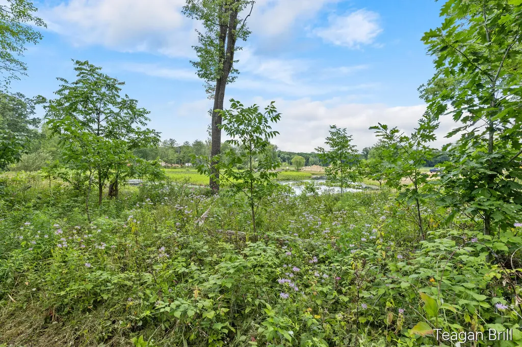 1256 10th Street Martin Township MI 49070