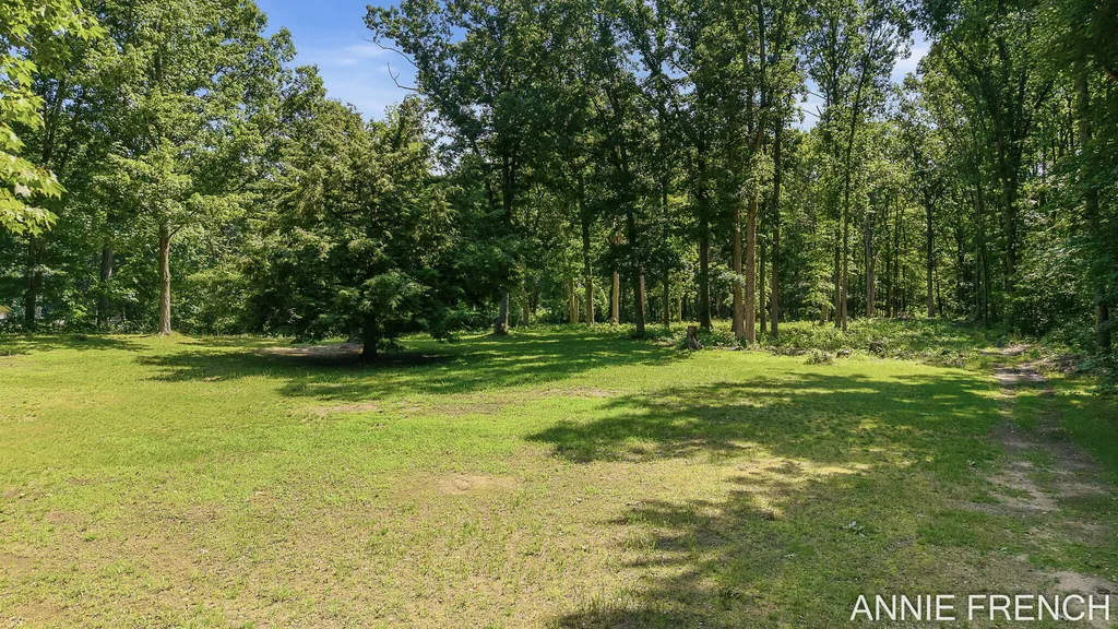 1375 56th Street Clyde Township MI 49408