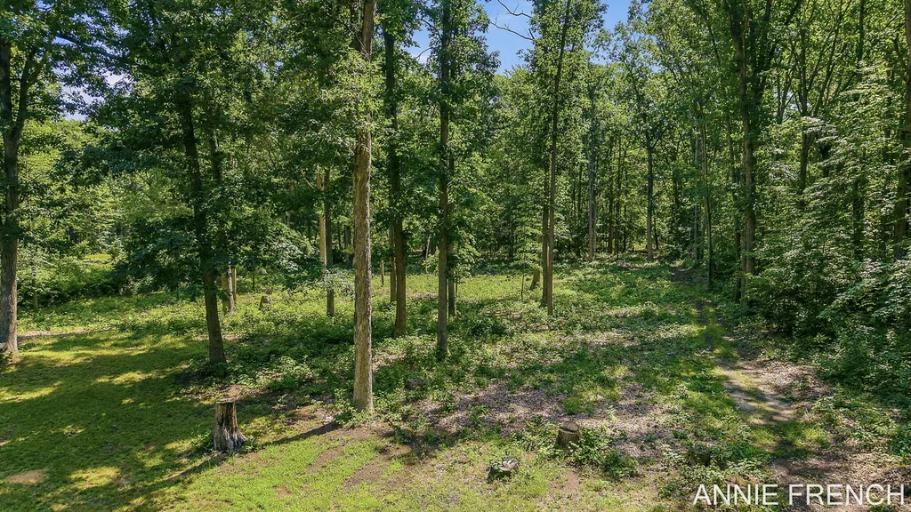 1375 56th Street Clyde Township MI 49408