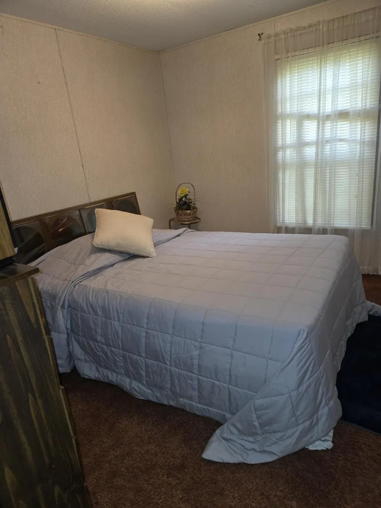 8776 N Blair Drive Merrill Township MI 49309