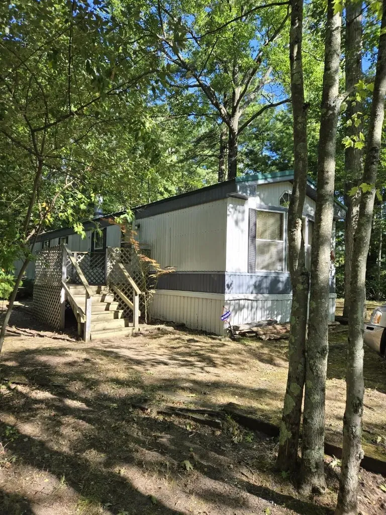 8776 N Blair Drive Merrill Township MI 49309