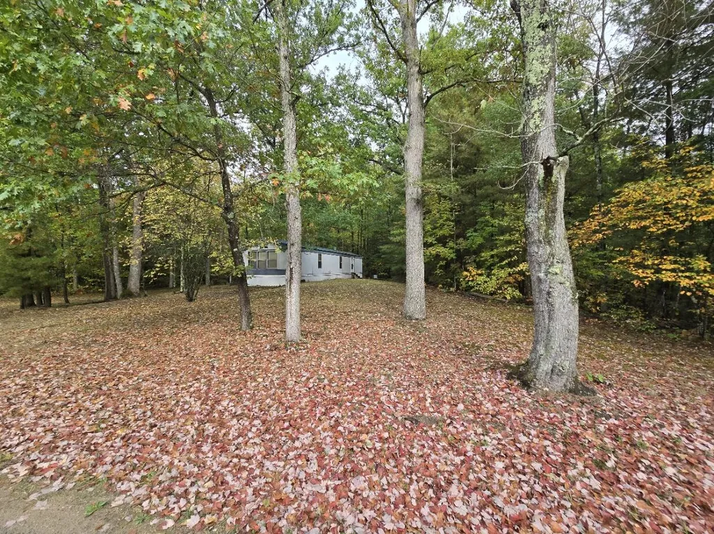 8776 N Blair Drive Merrill Township MI 49309