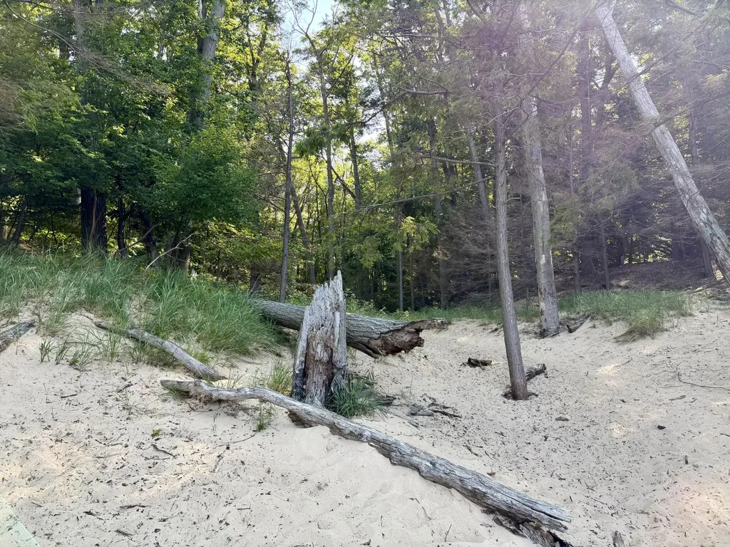 2081 Forest View Drive Norton Shores City MI 49441