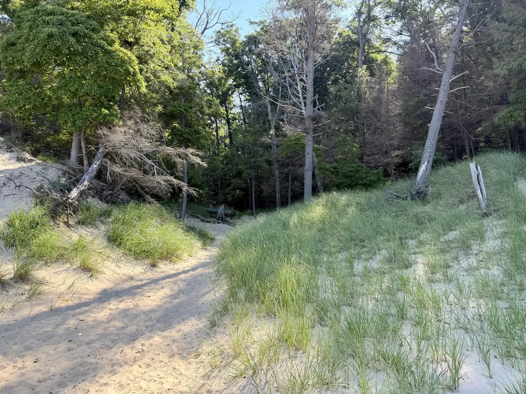 2081 Forest View Drive Norton Shores City MI 49441