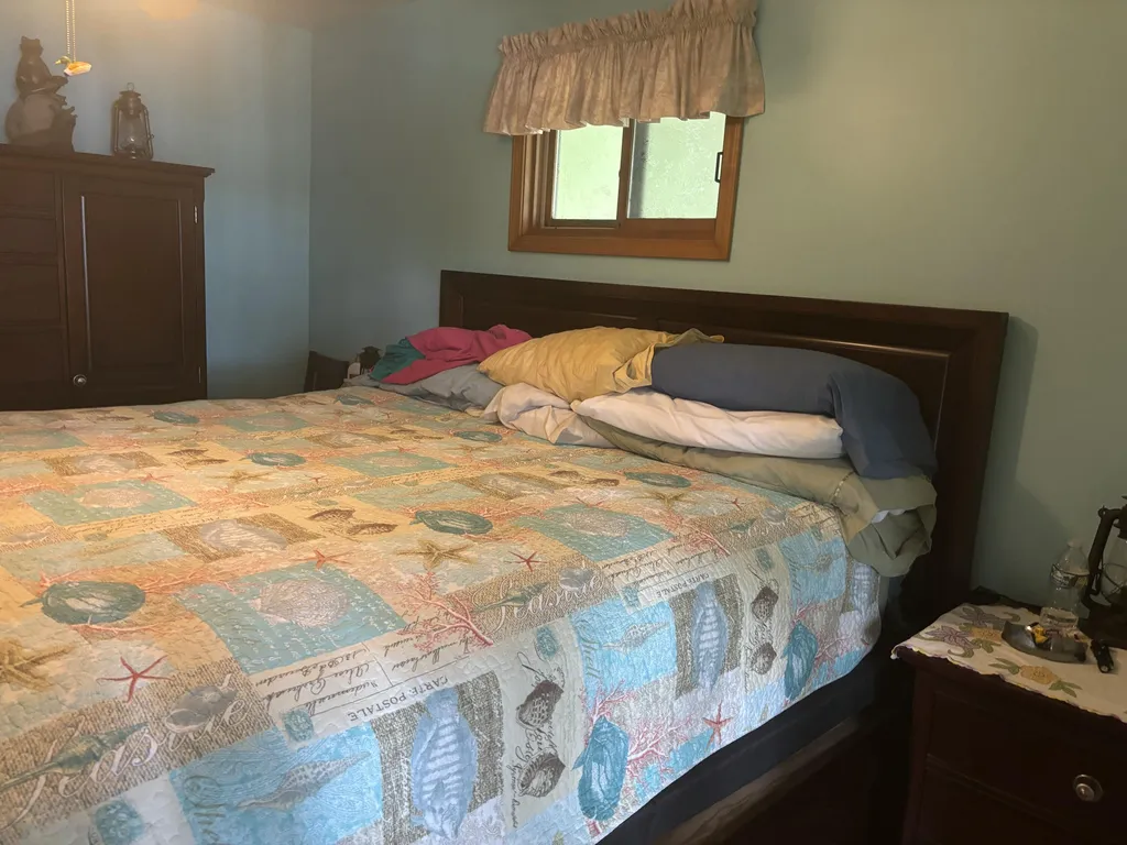 5029 N Benson Road Sheridan Township MI 49410