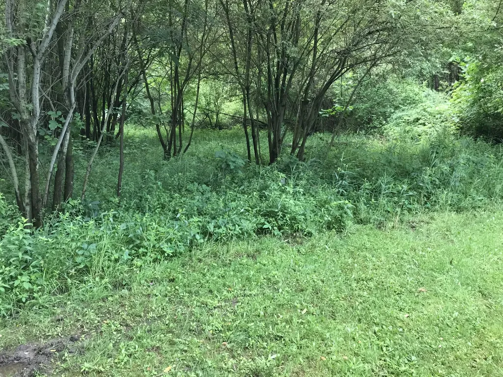 6550 Old Allegan Road Saugatuck Township MI 49453