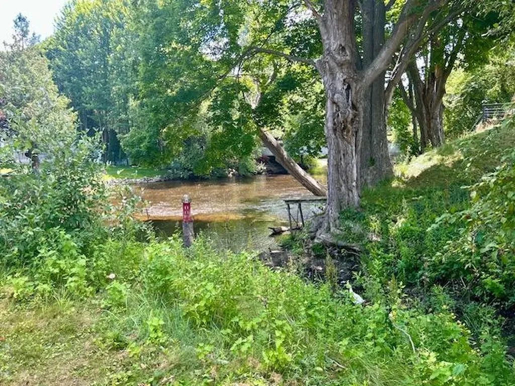 4170 S Riverview Drive S Newfield Township MI 49421