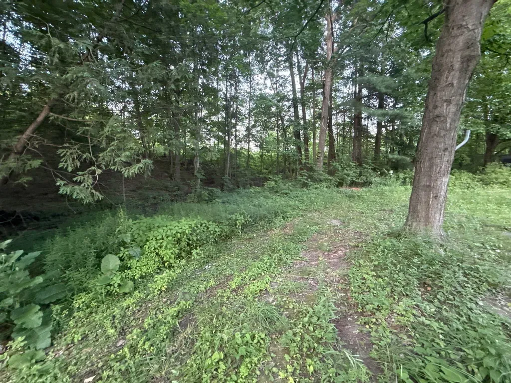 3584 Solon Street NE Solon Township MI 49319