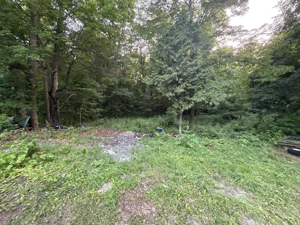 3584 Solon Street NE Solon Township MI 49319