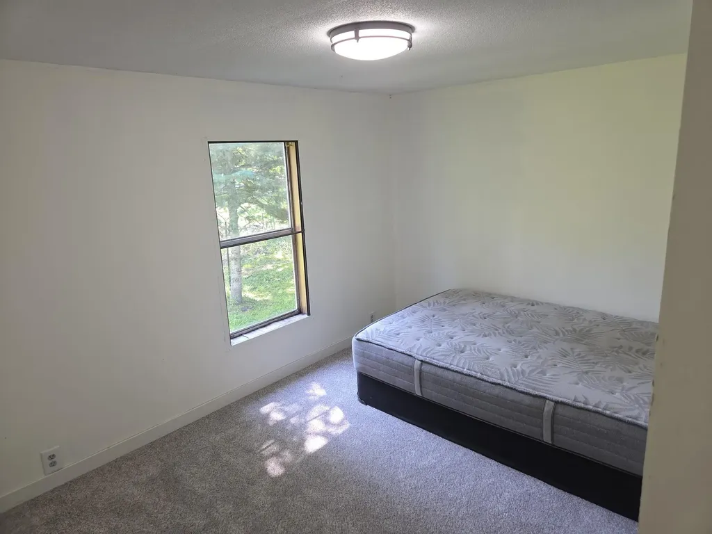 203 North Street Bangor City MI 49013