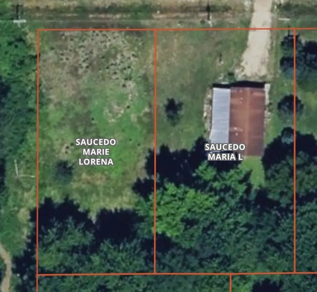 203 North Street Bangor City MI 49013