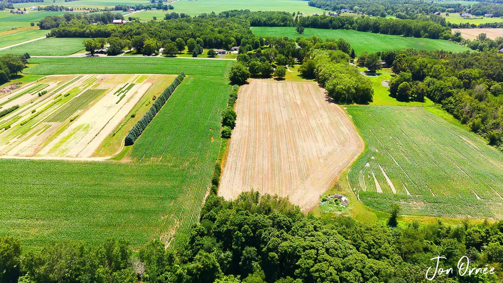 6055 141st Avenue Laketown Township MI 49423