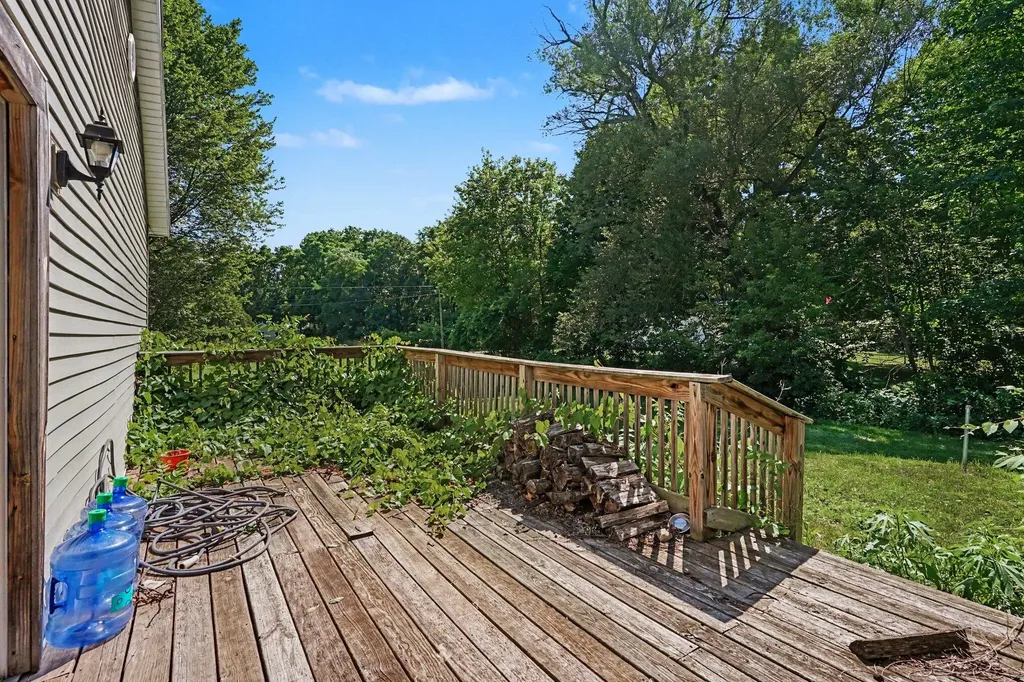 34 E Washington Street Newaygo City MI 49337