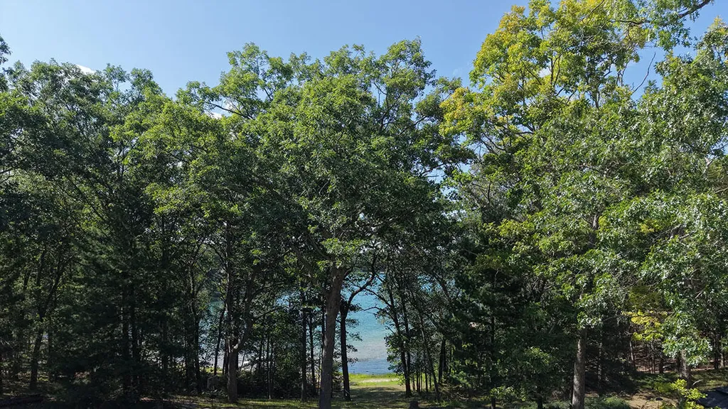 16815 S Star Lake Drive Lake Township MI 49304